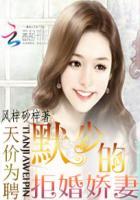 天价宠婚慕少的小甜妻全文免费