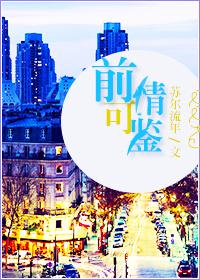 前情可鉴 免费阅读