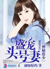 神秘首席甜宠