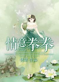 情意拳拳粤语免费观看