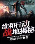 维和行动 规则