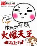 韩娱之天王txt
