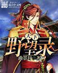天下野望录下架原因