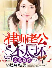 侓师老公不太坏