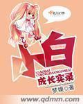 小白成长史