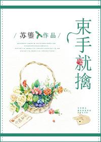 束手就擒韩队长