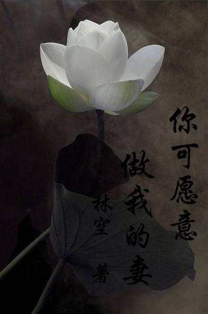 你可以做我的妻子