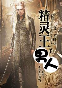 精灵王的男妃艾文