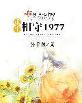 重生相守1997免费阅读