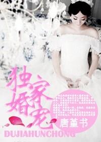 独家婚宠赢擎苍
