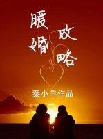暖婚txt