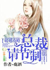 暖妻入怀