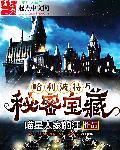 霍格沃茨从默然者到黑魔王