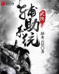 墨武侠辅助