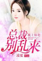 总裁枕上宠