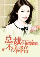 呆宝小助理免费阅读