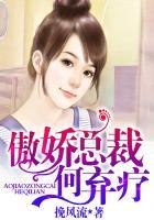 傲娇总裁何弃疗 聚合中文网