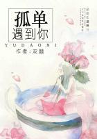 孤单遇见