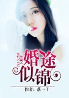 婚途似锦by袖刀免费阅读谢窃