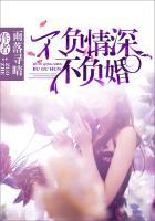 不负情深不负婚免费阅读