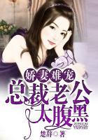 娇妻似宝总裁老公太难缠