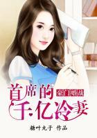 豪门婚战总裁的千亿冷妻
