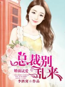 婚.前试爱
