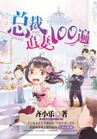 总裁追妻100天免费阅读