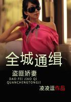 全城通缉偷心妻
