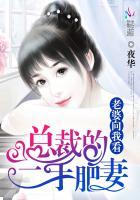 总裁的二婚老婆免费版