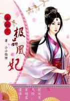 穿越之极品王妃 芊芊