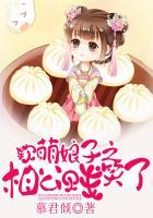 软萌娘子是杀手