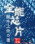 全能芯片TXT