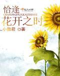 恰逢花开时相逢