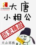 大唐小相公TXT