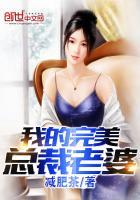 我的完美总裁老婆叶凡终结者