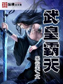 天武霸皇免费全文阅读