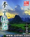 梦里的桃花源