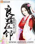 良婿全文免费阅读笔趣阁