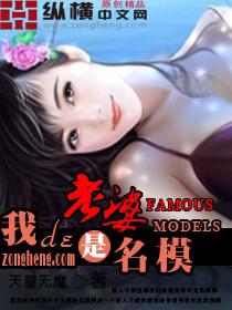 我的老婆是明星
