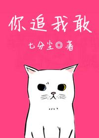 你还敢追我