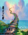 通天之旅后续