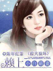总裁前夫赖上门