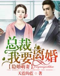 隐婚总裁的小萌妻