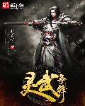 灵武战记2