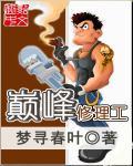 巅峰修理工 聚合中文网