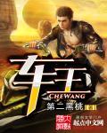 极速车王