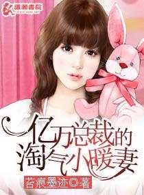 亿万总裁的乖乖牌小老婆