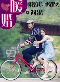 我的暖婚新妻