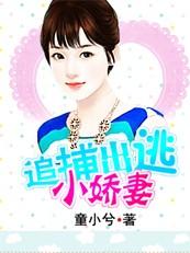 首席追缉小逃妻全文免费阅读